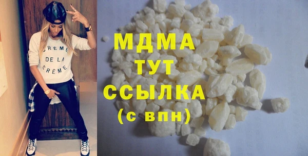 прущие грибы Медвежьегорск