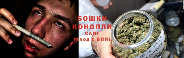 ПСИЛОЦИБИНОВЫЕ ГРИБЫ Алзамай