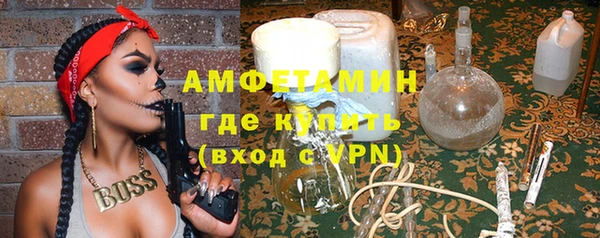 прущие грибы Медвежьегорск