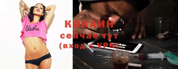 прущие грибы Медвежьегорск