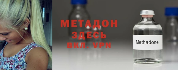 прущие грибы Медвежьегорск