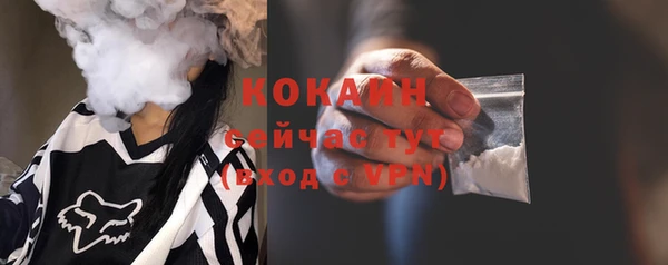 прущие грибы Медвежьегорск