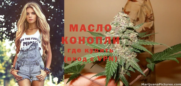 твердый Медногорск