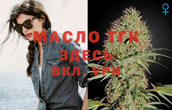 твердый Медногорск