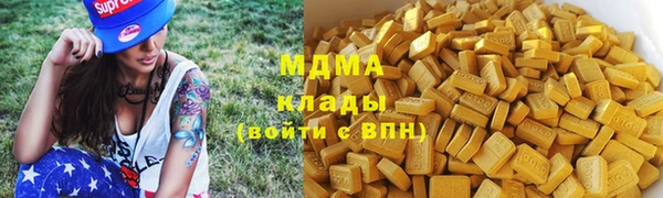прущие грибы Медвежьегорск