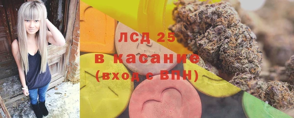 прущие грибы Медвежьегорск