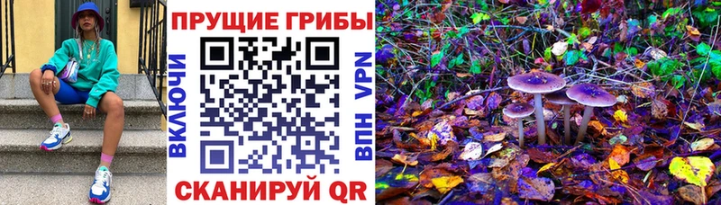 Псилоцибиновые грибы ЛСД  продажа наркотиков  Ессентукская 